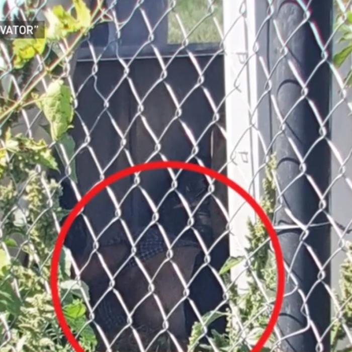 Noi descoperiri în „Casa Groazei” din Caracal. Gheorghe Dincă a construit un adevărat labirint al morții