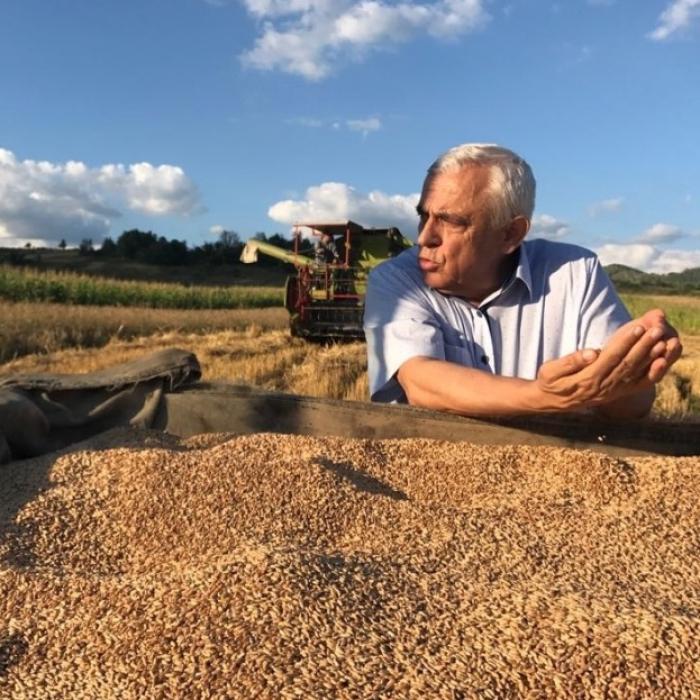 Petre Daea a trimis rapoarte false privind producția de porumb. Comisia Europeană s-a sesizat 