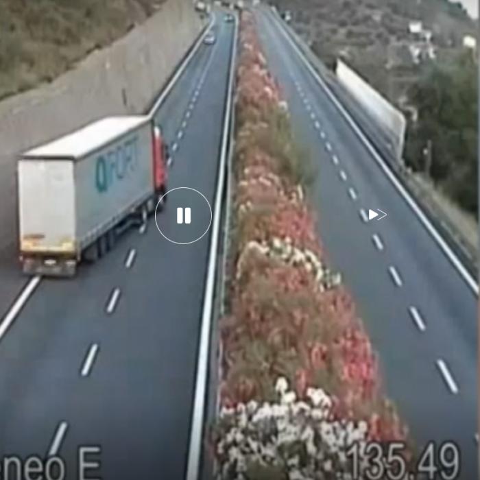 Ungaria. Doi români au intrat cu mașina în două camioane distruse