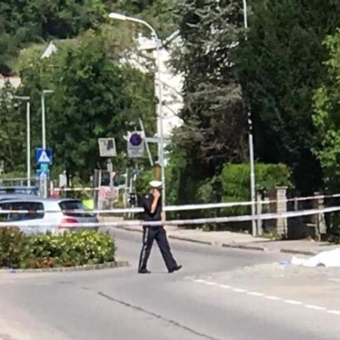 Austria. Un ROMÂN a UCIS o bătrână cu un cuțit. A ÎNJUNGHIAT-O de mai multe ori, pe stradă