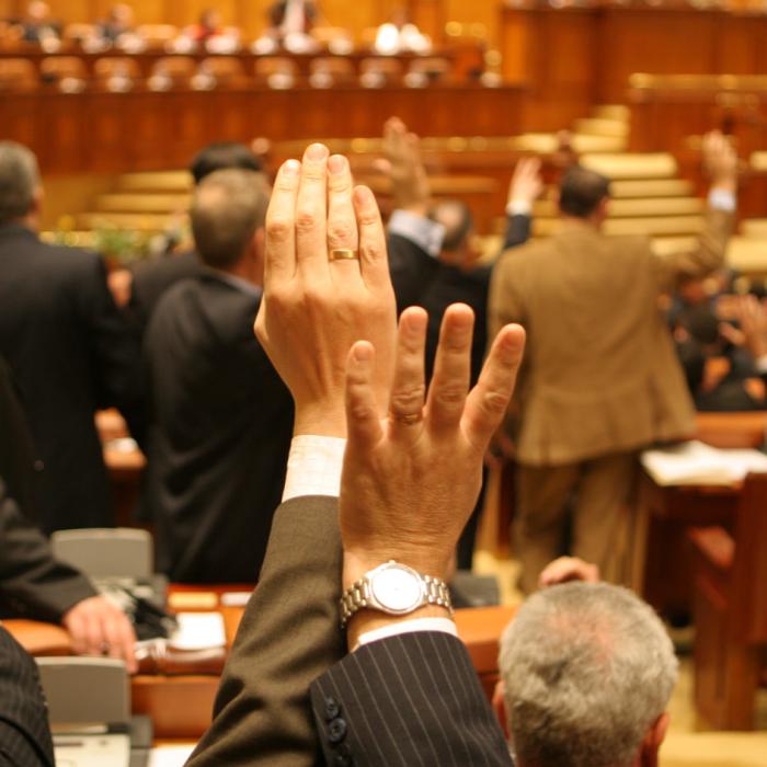 PROIECT pentru românii din DIASPORA: DUBLAREA numărului de PARLAMENTARI