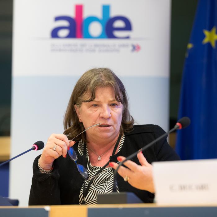Norica Nicolai, după propunerea de numire a lui Gîrbovan la Justiție: „De ani de zile tot facem reformă în România”