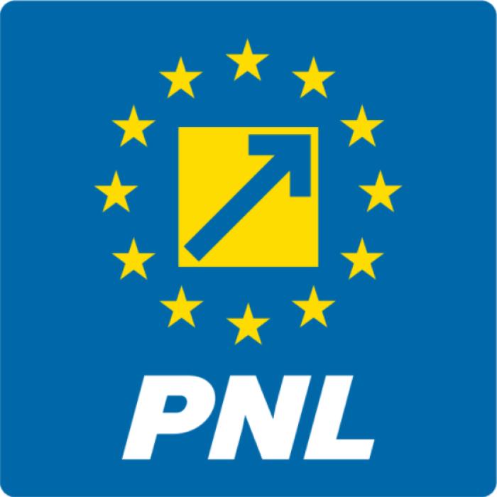 Primar PNL şi patru consilieri, EXCLUȘI. Ar fi făcut campanie pentru PSD