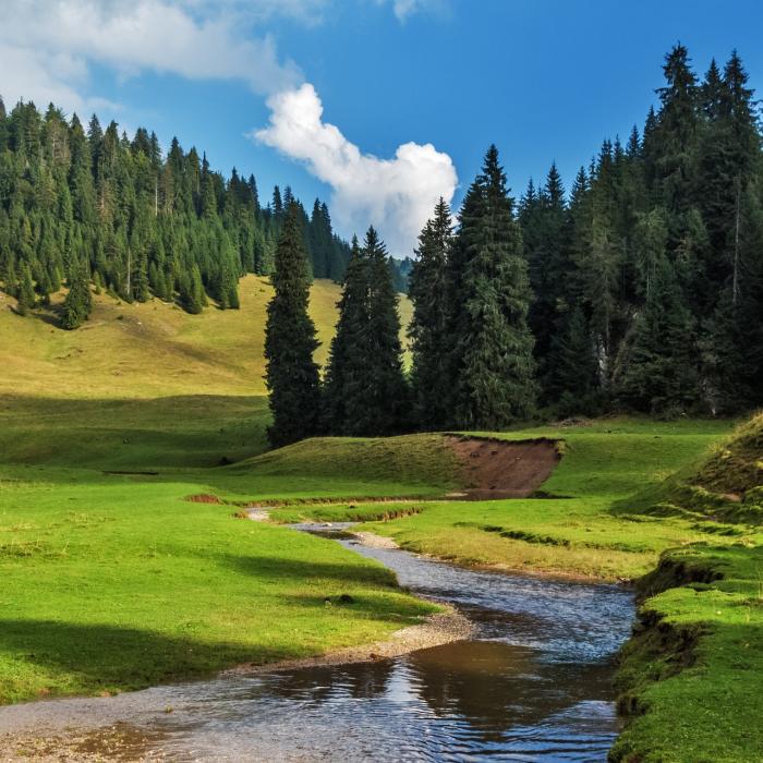 Redactorii Financial Times, UIMIȚI de FRUMUSEȚEA României: Transilvania, noua TOSCANA
