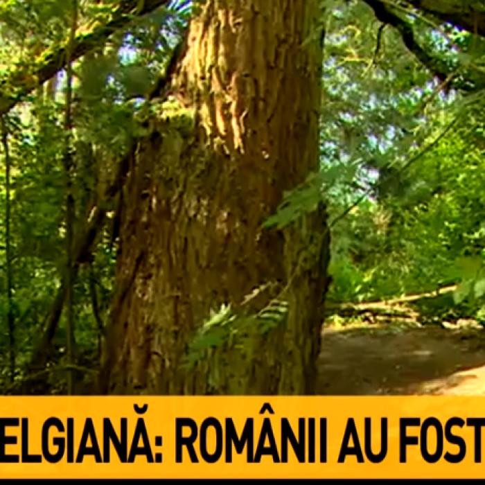 Români, ASASINAȚI în Belgia. MAE, intervenție de ULTIMĂ ORĂ