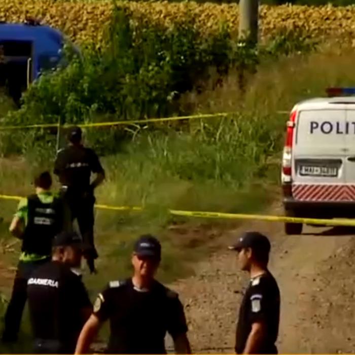 Noi expertize asupra oaselor găsite în liziera pădurii de lângă Caracal