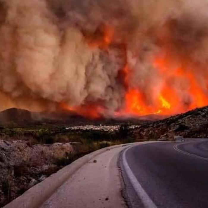 Alertă în Grecia. SUTE de oameni evacuați de pe insula Zakynthos din cauza INCENDIILOR