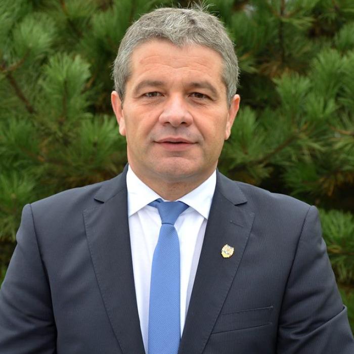 Senatul discută cererea de urmărire penală în cazul lui Florian Bodog