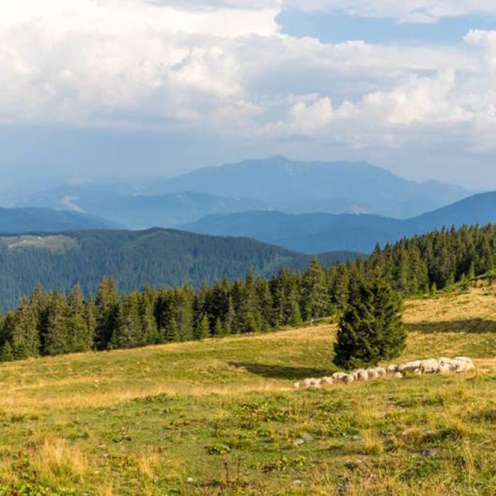 Patru turişti salvați, pe timpul nopții. Salvamontiştii au intervenit în Bucegi