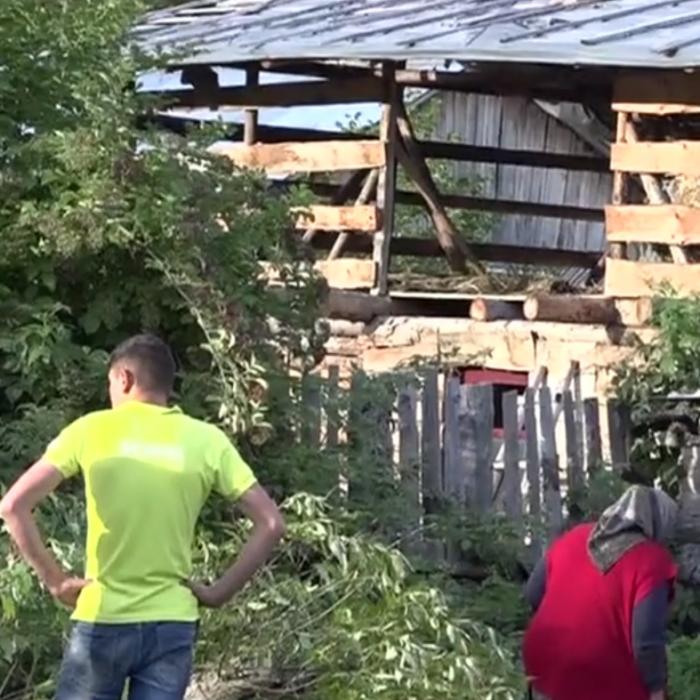 Psihologul criminalist Tudorel Butoi, despre cazul ROMÂNCEI DECAPITATĂ: „Justiția a fost mioapă”