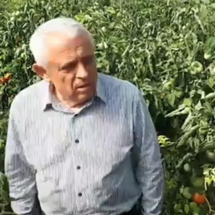Daea a făcut „un calcul”: „România are 200.000 de tractoare. Dacă le punem unul după altul, graniţa ţării este înconjurată de 4 rânduri de tractoare”
