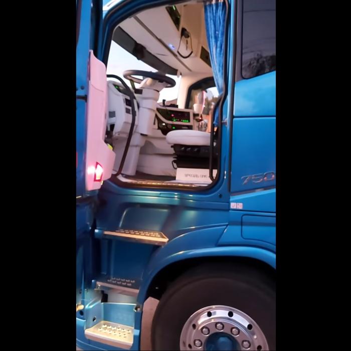 Un șofer ROMÂN de TIR l-a pus pe VAMEȘ să se DESCALȚE dacă vrea să urce în cabină să controleze: „Alooo! Descălțarea, boss!”