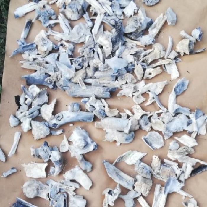 Declarație-BOMBĂ în cazul CARACAL. FBI nu a avut de unde extrage ADN: „ Au fost FALSIFICATE, au decupat tot ce este ars“