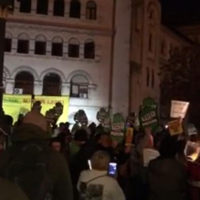 PROTEST în Piața Universității față de tăierile ilegale de păduri: "Stop MAFIEI lemnului!"