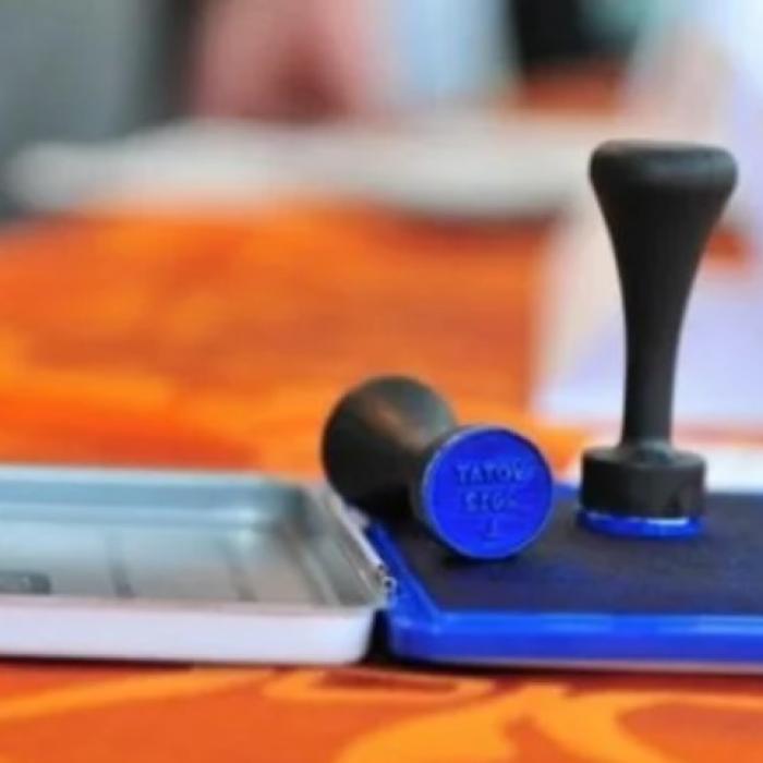 Rezultate FINALE ale votului din țară. S-au centralizat 100% din voturile exprimate