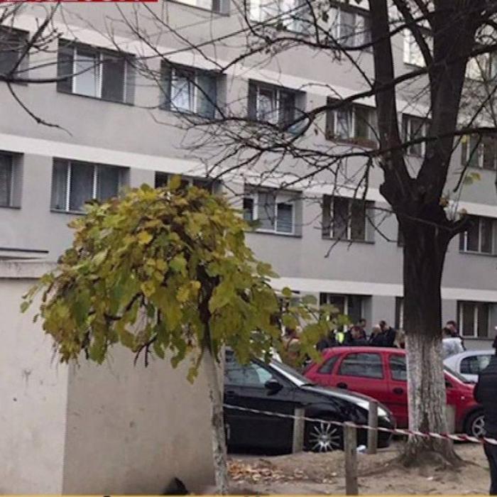 Deratizare Timișoara. Autoritățile cer ajutorul ARMATEI. O echipă MApN verifică blocurile otrăvite