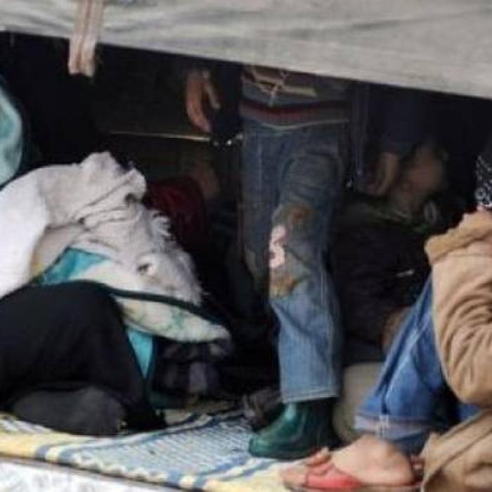 48 de MIGRANȚI înghesuiți într-un camion românesc, descoperiți la vama Nădlac. Șoferul îi ducea în Austria