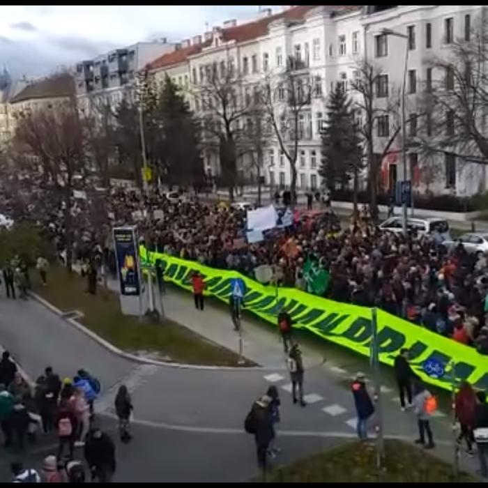 Austria. PROTEST față de tăierea pădurilor din România. SUTE de OAMENI, în STRADĂ (VIDEO)