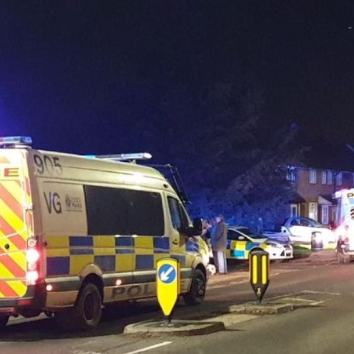 Marea Britanie. Un COPIL a MURIT iar alte cinci persoane au fost RĂNITE după ce o mașină a LOVIT un grup de pietoni, în Londra