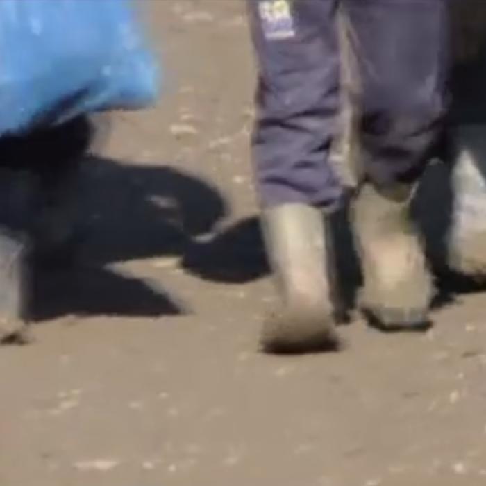 Caz grav de SCLAVIE. Doi tineri ROMÂNI, bătuți și păziţi cu câinii pentru a avea grijă de oi şi vaci