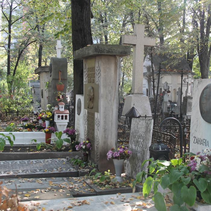 Aleea scriitorilor și monumentele de la Bellu