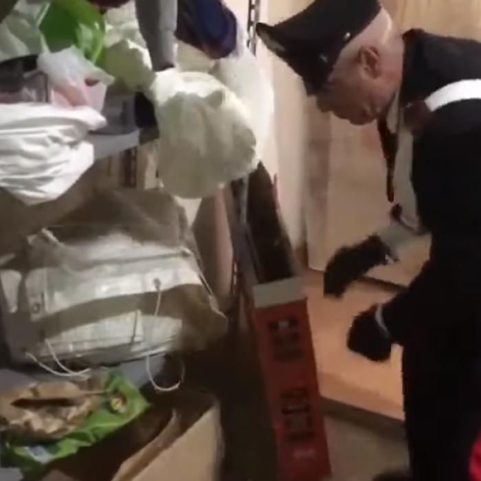 Italia. Un muncitor român era plătit cu mai puțin de 2 euro pe oră. Carabinierii au intrat pe fir - VIDEO