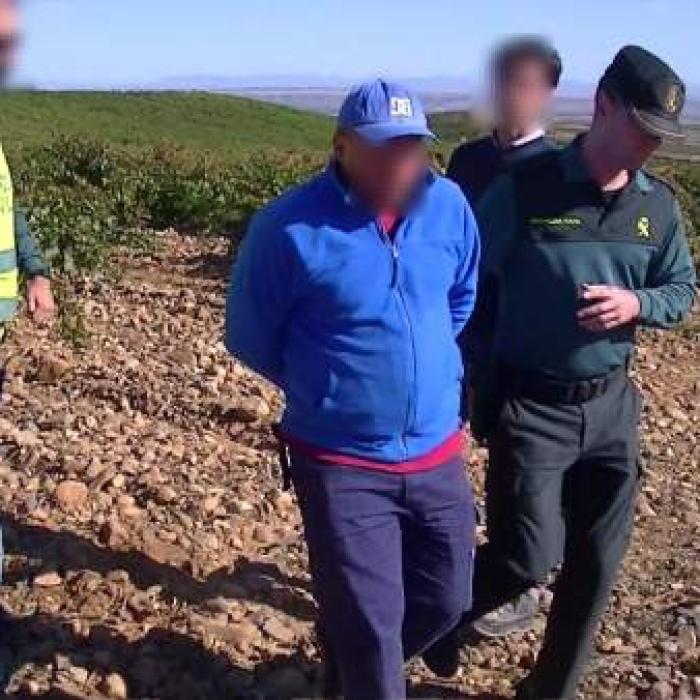 15 români folosiți ca sclavi în Spania, eliberați de autorități. Culegeau portocale pe câțiva euro pe lună