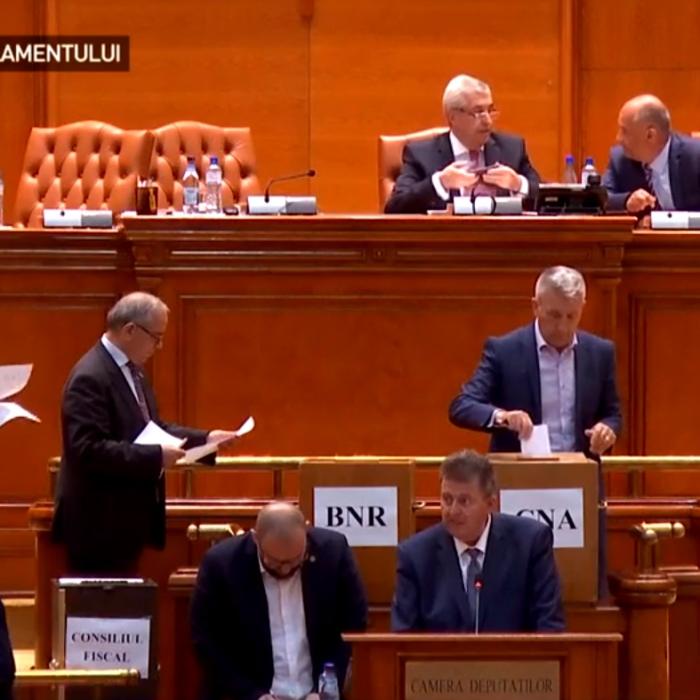 Scandal în Parlament la votul pe dublarea alocațiilor: „Papagalule!“. Deputații PMP și PNL au scos cartelele de vot