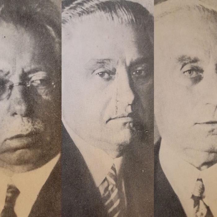  Three Famous Brothers and Their Magnificent Houses: The Minovici Family