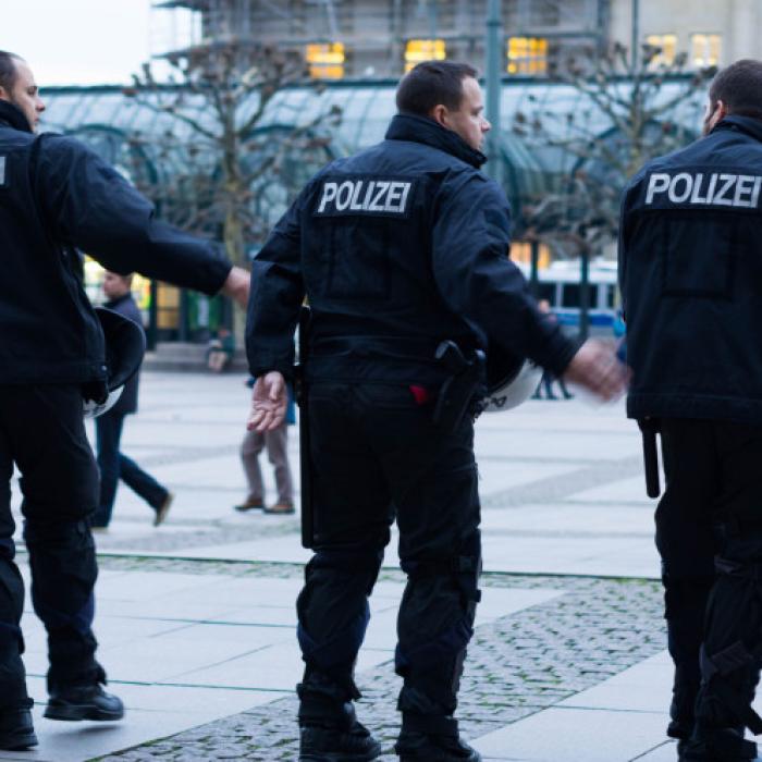 Germania. Femei atacate cu o jucărie sexuală de un român