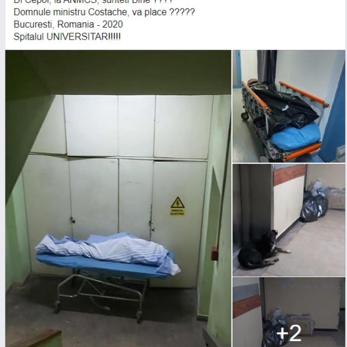 Denise Rifai, postare din spital: „Sunteți bine?“