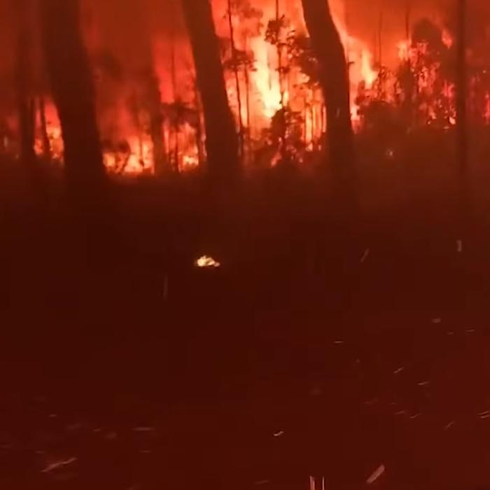 Avion cisternă prăbuşit în Australia, în timp ce încerca să stingă incendiul. Niciun supravieţuitor la bord