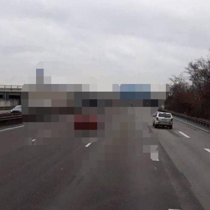 Germania. Un șofer român de TIR, imagine unică surprinsă pe autostradă: „De doi ani pândesc asta“
