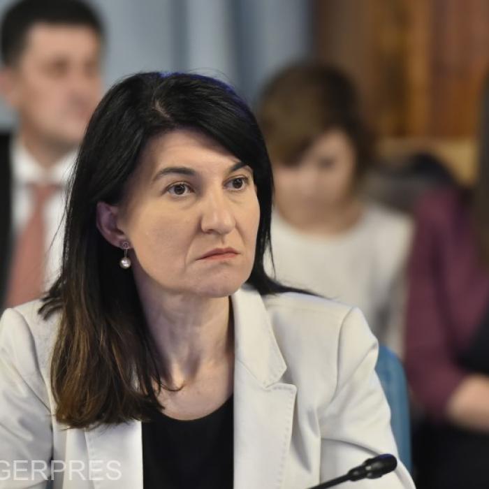 Violeta Alexandru, despre adeverințele de vechime: „Situația găsită în sistem este gravă”