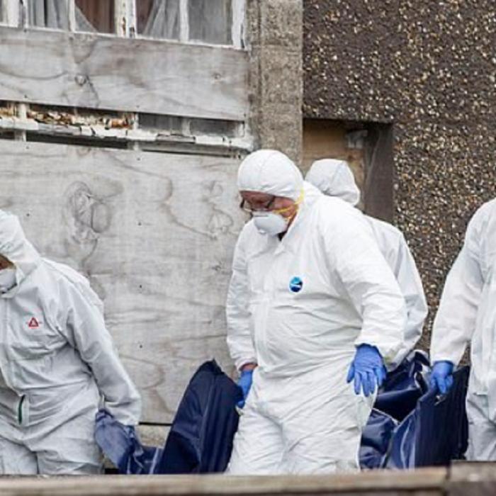 Irlanda. Un român ar fi tranșat un bărbat. Bucățele din trup au fost găsite în spatele casei