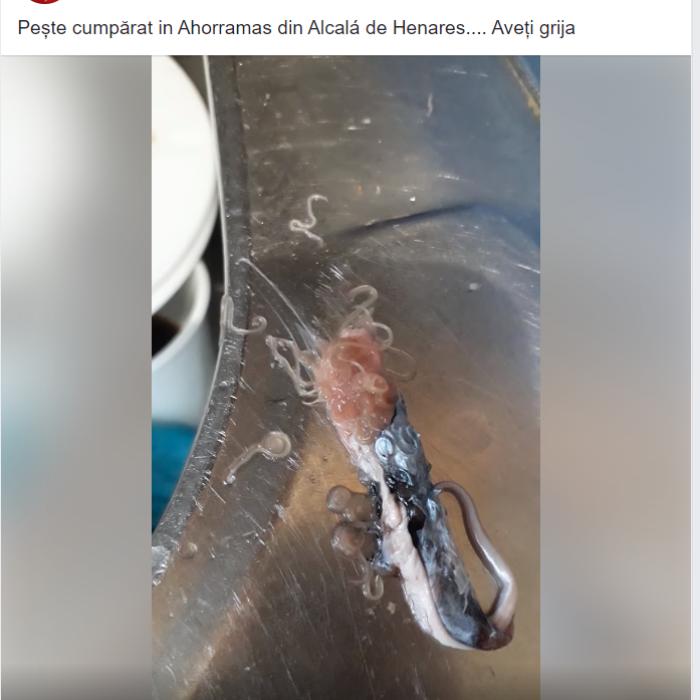 Spania. O româncă a cumpărat pește dintr-un supermarket. A fost șocată să vadă asta ieșind din el