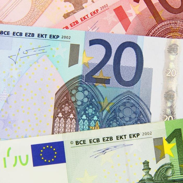 PNL, decizie finală privind alocațiile copiilor