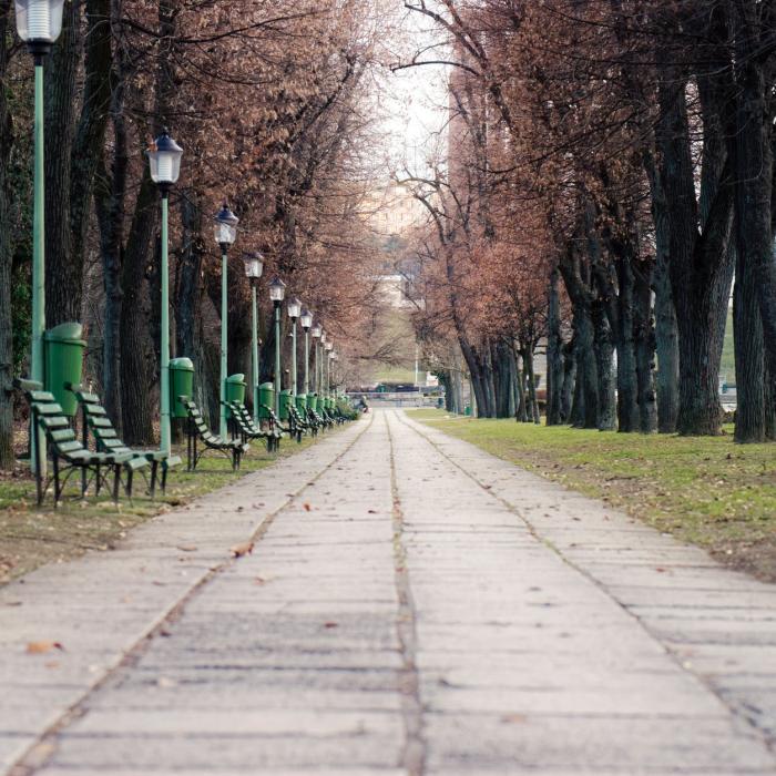 Franța. Un român s-a masturbat într-un parc ziua în amiaza mare