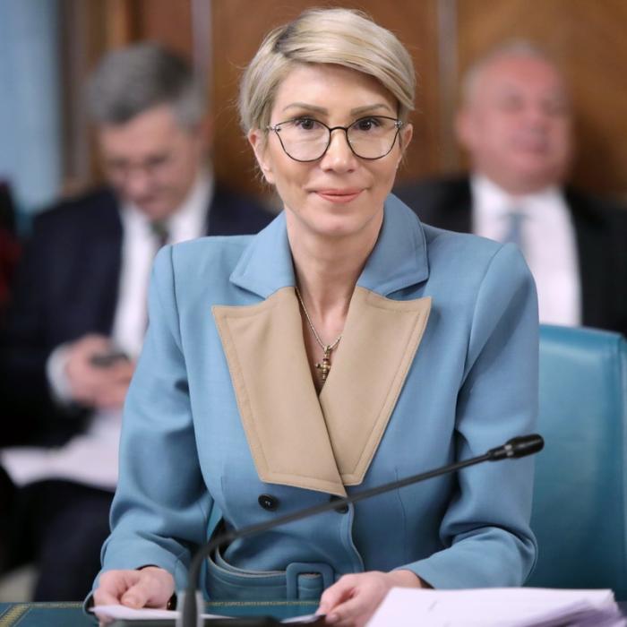 Turcan, despre avizele negative: „PSD trebuie să fie contra”