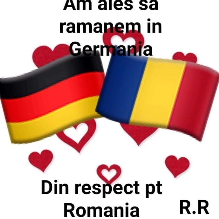 Românii din Germania, decizie exemplară de solidaritate. ALEG să protejeze România împotriva coronavirusului
