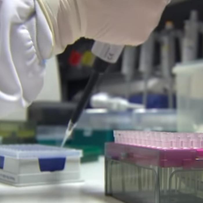 Coronavirus. Specialiștii din Marea Britanie studiază răspândirea noului COVID-19