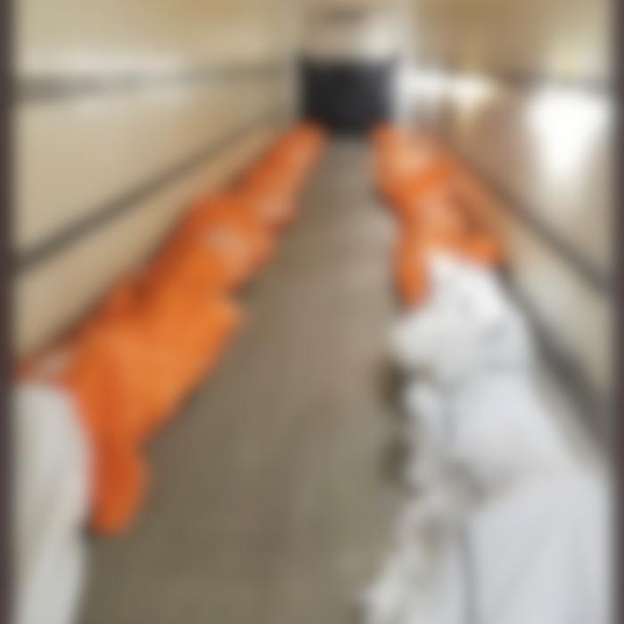 Poză tulburătoare distribuită de o asistentă din New York: "Trebuie să le arăt oamenilor"