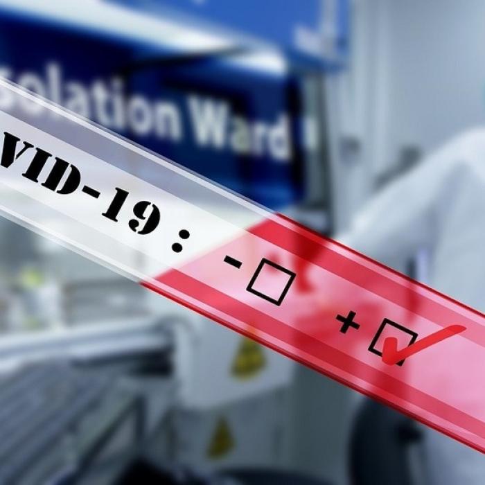 MAE: 28 de români care lucrau la un abator din Olanda infectați cu noul coronavirus