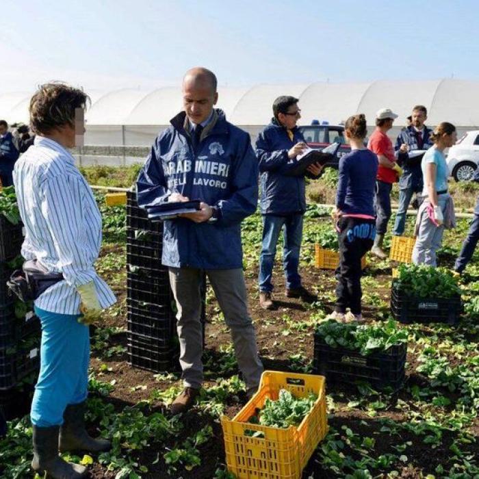 Italia vrea să dea permise de MUNCĂ pentru mii de migranţi: Au nevoie de muncitori în agricultură. Salvini e ÎMPOTRIVĂ