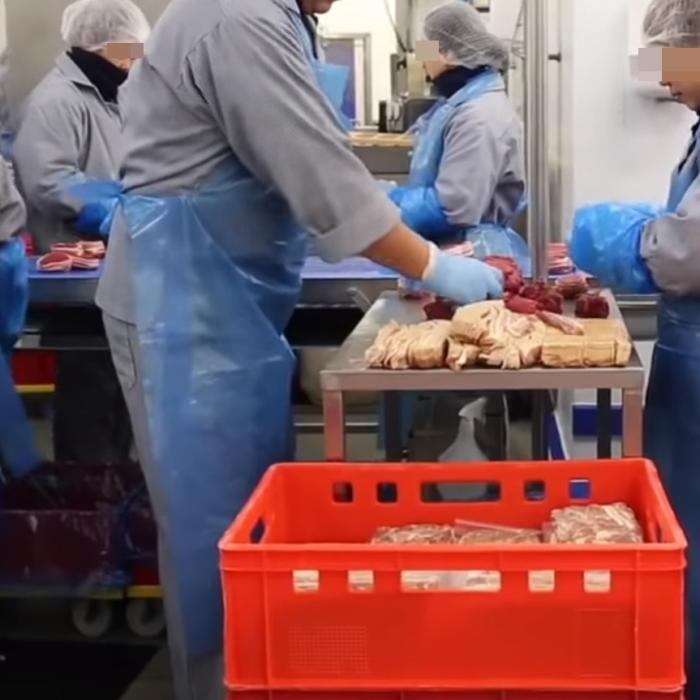 Germania. Muncitorii unei fabrici de prelucrare a cărnii, testaţi după apariţia unui focar