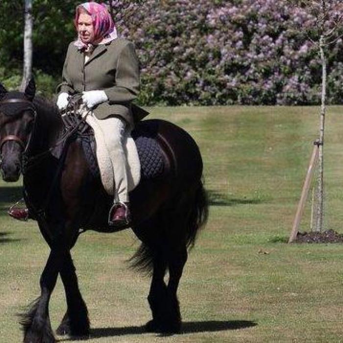 Regina Elizabeth, prima apariţie după izolare. A apărut călare pe un ponei, la 94 de ani