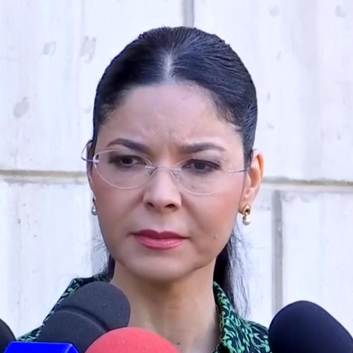 RĂZBOI total. Birchall o acuză pe Firea că plătește oameni s-o înjure: "Șoc și groază! Parcă nu-mi venea să cred..."