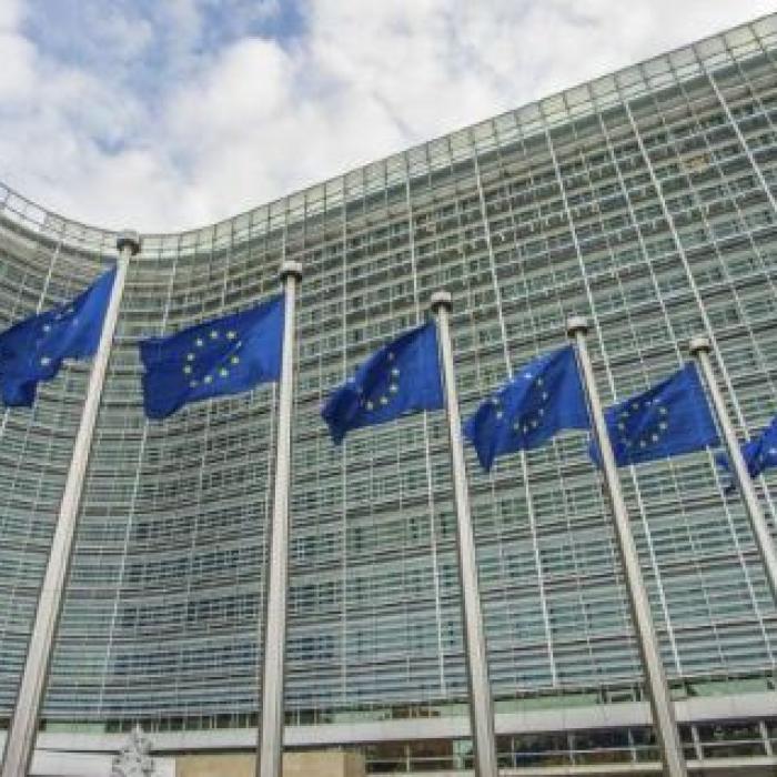 Lucrătorii SEZONIERI români, în dezbaterea Parlamentului European
