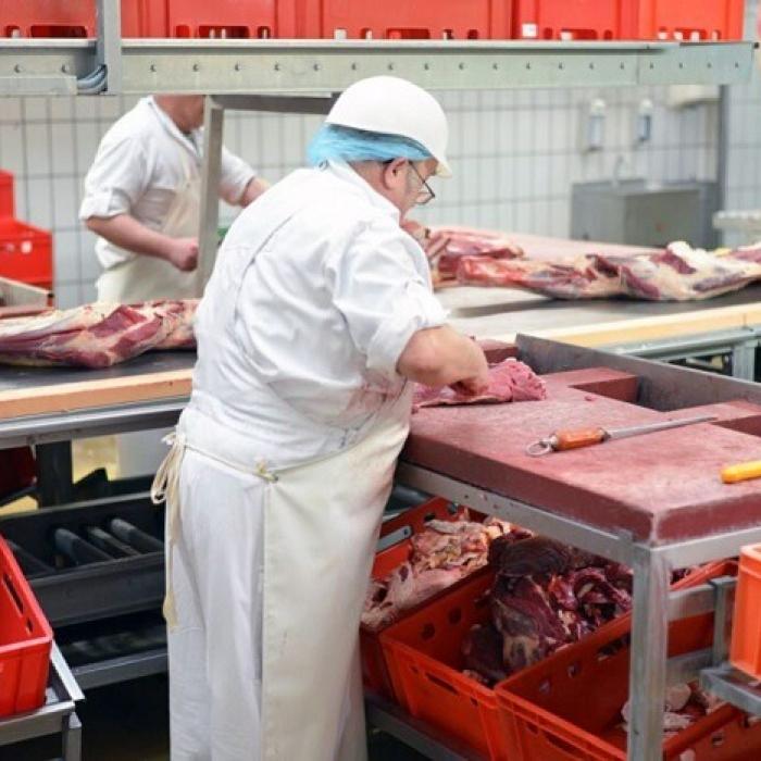Germania. VAL de îmbolnăviri printre românii din abatoare. MAE: Sunt 1.000 de infectați din aproape 4.000 de angajați