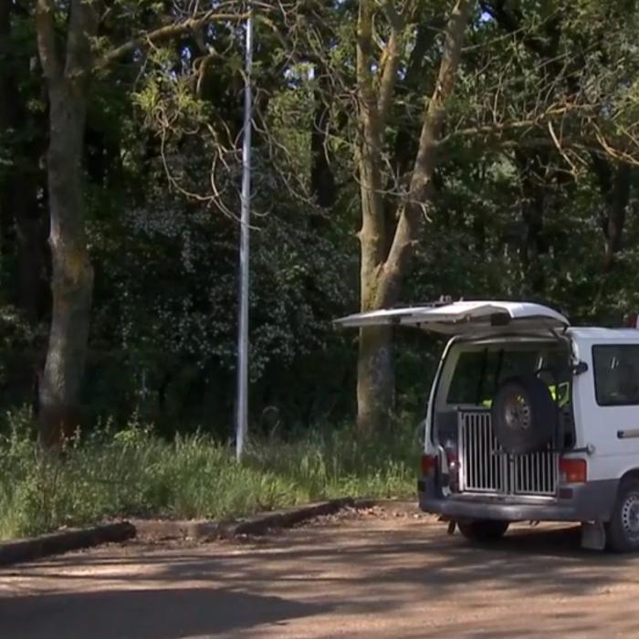 Pădurar ATACAT de doi indivizi. I-au furat arma din dotare